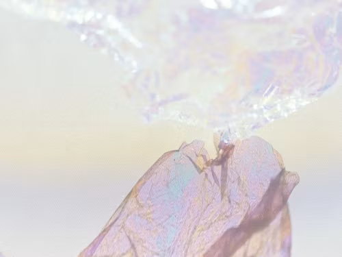 作品 2